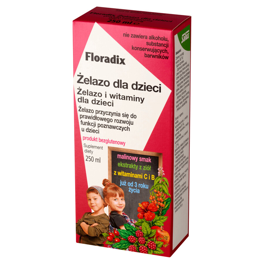 Floradix ijzer voor kinderen vanaf 3 jaar, 250 ml