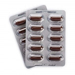 Omega 3-6-9, 30 + 15 capsule, Doppelherz