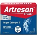 Artresan Efekt, 60 capsules