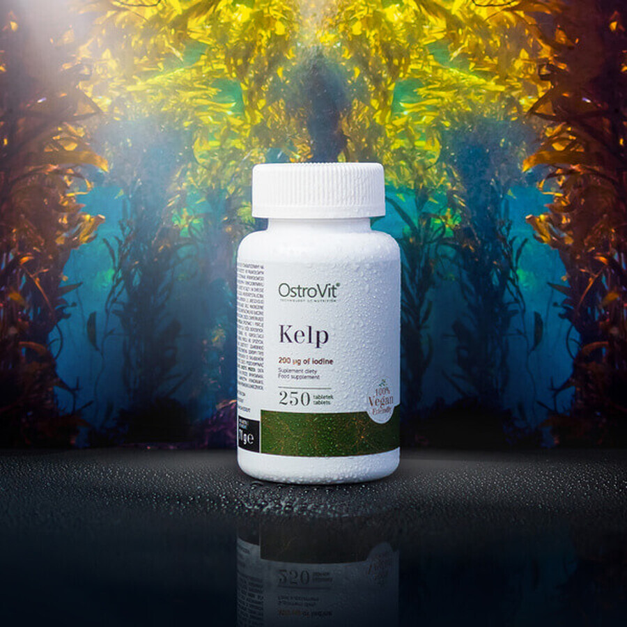 OstroVit Kelp, 250 tabletten