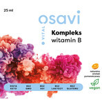 Osavi Vital Vitamin B-Komplex, Mundspray, Orangengeschmack, 25 ml