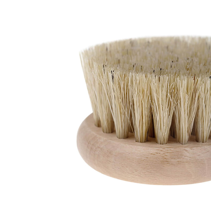 Bocioland, wooden hair brush, made of natural bristles, round, 1 pc