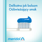 Meridol Complete Care, toothpaste, sensitive gums and teeth, 75 ml