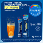 Plusssz Magnesium Forte Citraat, sinaasappel-maracuja smaak, 24 bruistabletten