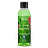 Barwa Natural, cactus shampoo voor droog en normaal haar, hydraterend, 300 ml