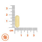 SEMA Lab Na Trawienie, 30 filmomhulde tabletten