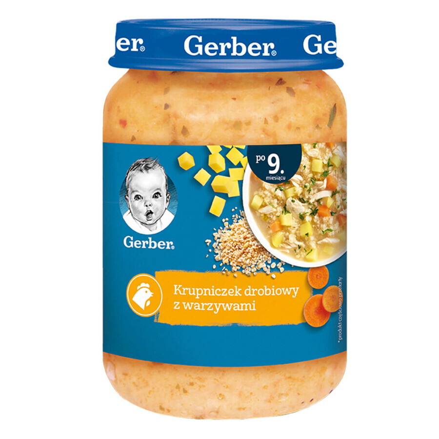 Gerber Zupa, Hühnersuppe mit Gemüse, nach 9 Monaten, 190 g