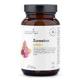 Aura Herbals Veenbes Uro+, 60 capsules