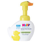 HiPP Babysanft Sensitive, face and hand wash foam, from the first day, duck, 250 ml