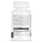 OstroVit Bacopa monnieri, Bacopa minor, 90 tabletten