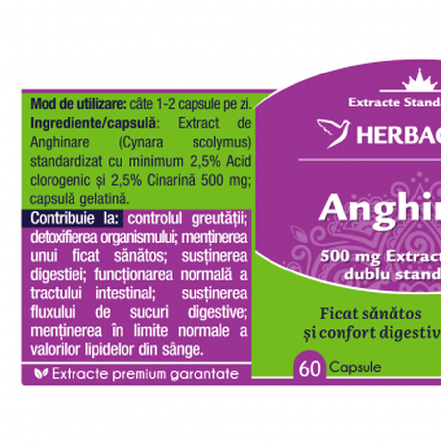 Herbagetica Artisjok x 60 stuks