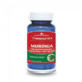 Herbagetica Moringa x 60 stuks