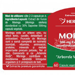 Herbagetica Moringa x 60 Stück