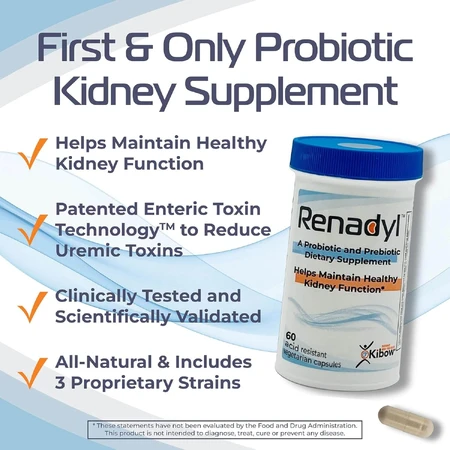 Renadyl, 60 Kapseln, Kibow