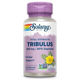 Tribulus Fruit Extract, 450mg, 60 vegetable capsules, Solaray