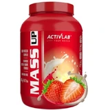 Fresas Mass Up, 2000g