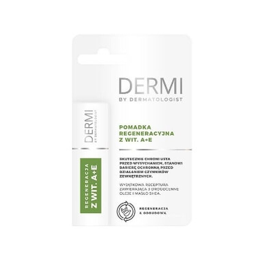 Barra de labios Dermi By Dermatologist Repair con vitaminas A + E, 4,5g