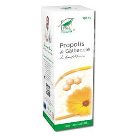 Pro Natura Spray Propolis et Souci, 100 ml