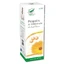 Pro Natura Spray van Propolis en Goudsbloem, 100 ml