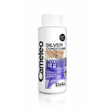 Cameleo Anti-Yellow Effect Silver Conditioner for Blonde Hair, 50ml