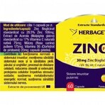 Zink Forte, 60 capsules, Herbagetica