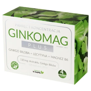 Ginkomag Plus, 120 Kapseln