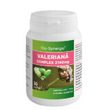 Complesso di valeriana, 2740 mg, 30 capsule, Bio Synergie