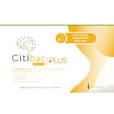 Citibac Plus voor geheugen en concentratie, 20 ampullen, Alpha