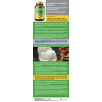 Leeuwenman, 500 mg, 60 capsules, Remedia Laboratories