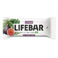 Glutenvrije biologische rauwe vijgen reep, 40 g, Lifebar