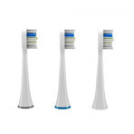 TrueLife SonicBrush UV Sensitive SonicBrush UV Sensitive 3 pcs