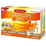 Terezia Cordyceps activ 60 capsules