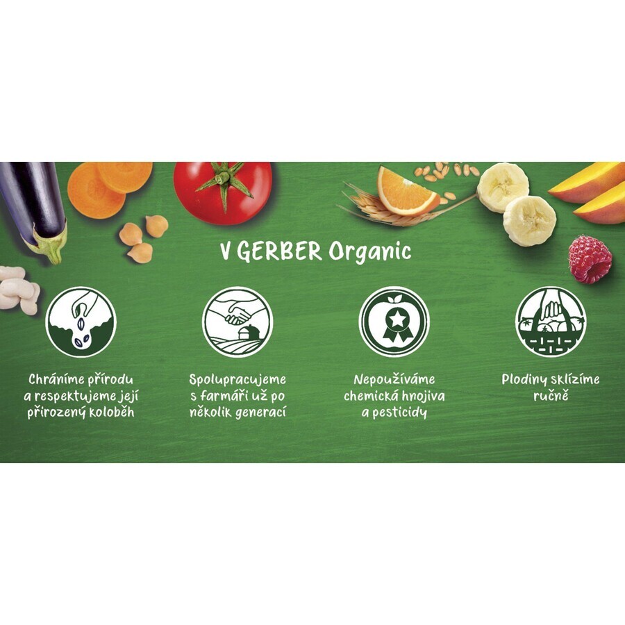 Sac Gerber Organic Pommes, Bananes, Myrtilles et Mûres 100% Bio 6m+ 16 x 90 g