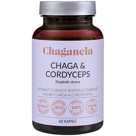 Chaganela Chaga extract met cordyceps 60 capsules