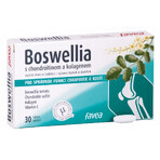 Favea Boswellia cu condroitină și colagen 30 comprimate