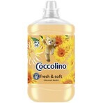 Coccolino Orange rush balsam de rufe 1,7 l