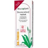 Dr Theiss Mucoplant Jarabe de canela con equinácea y vitamina C 320 g