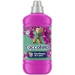 Coccolino Snapdragon Laundry Conditioner 1.27 l