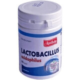 Apotheke Lactobacillus acidophilus 60 capsules