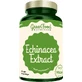 GreenFood Nutrition Echinacea Extract 90 kapsułek
