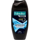 Palmolive SG MEN BLUE Pure Arct. Refr. 250 ml