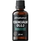 Allnature Dennen etherische olie 10 ml