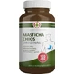 Masticha Chios Original - Pharmed 120 kapsułek