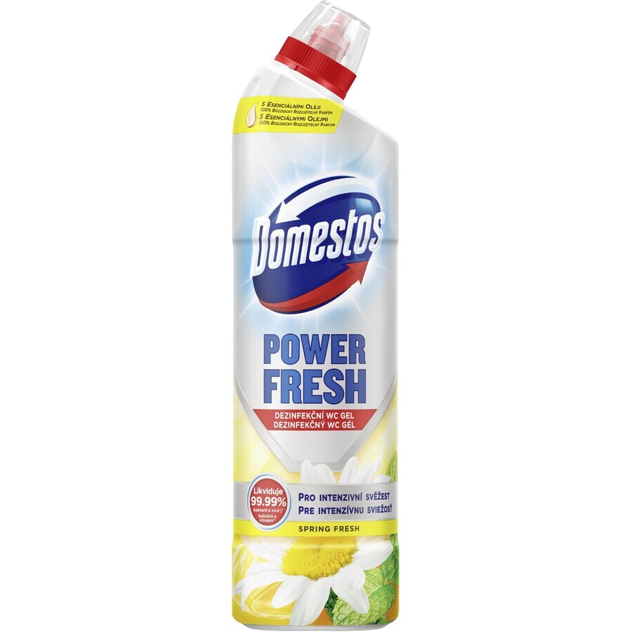 Domestos Power Fresh Spring 700ml Domestos Power Fresh Spring Gel de Toilette