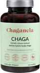 Chaganela Siberisch Chaga-extract 150 capsules