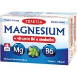 Theresa Magnesium + vitamine B6 en citroenmelisse 30 capsules