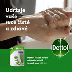 Dettol Refill Liquid Soap Aloe Vera and Vitamin E 500 ml