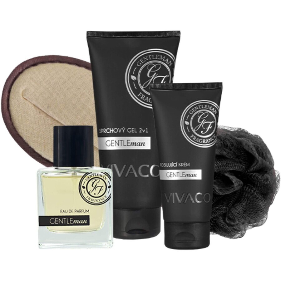 Vivaco Gentleman Silver Cosmetics paquet cadeau pour hommes