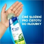 Head & Shoulders Diepreinigende Olie Controle 300 ml