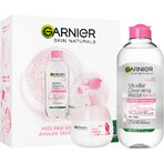 Garnier Skin Naturals Rose Kerstpakket 2023 - crème + micellair water